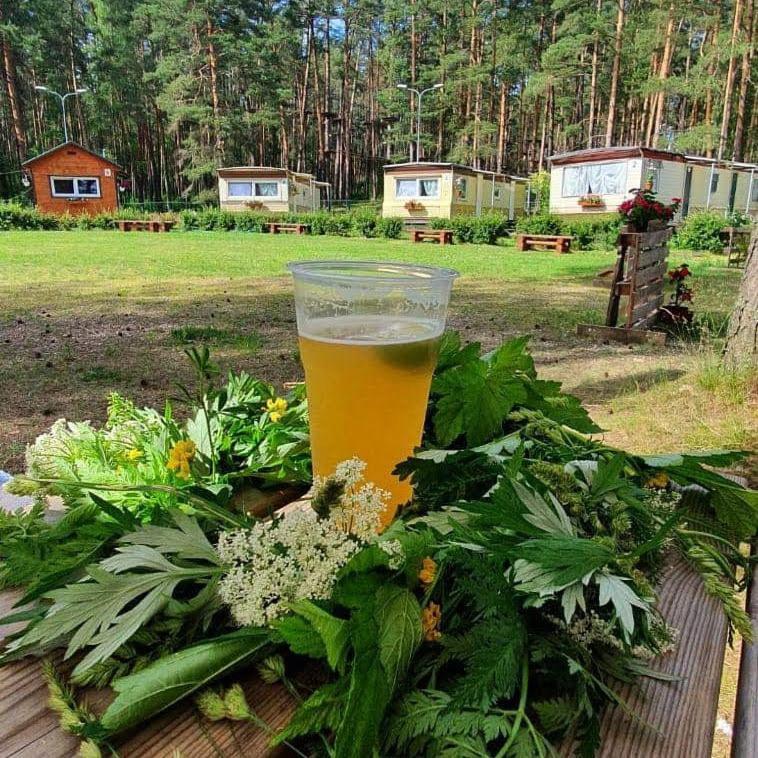 Chill&grill Camping * Daugavpils
